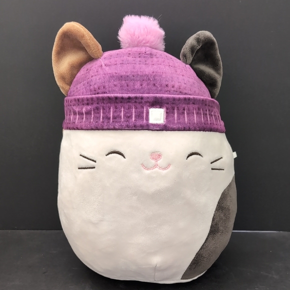 Squishmallows Cam The Calico Cat With Purple Beanie. - Picture 1 of 5